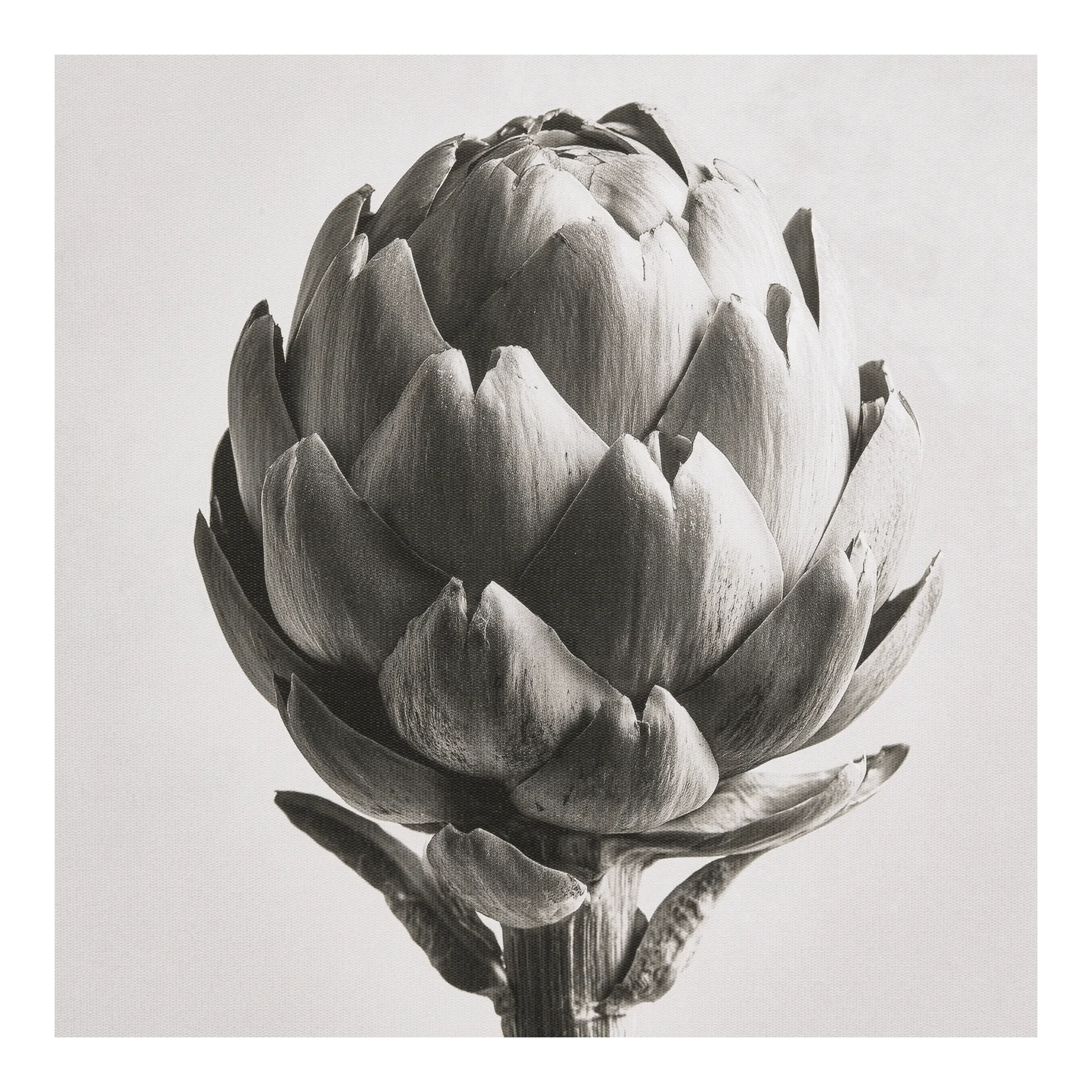 Artichoke Printed Framed - Image 2