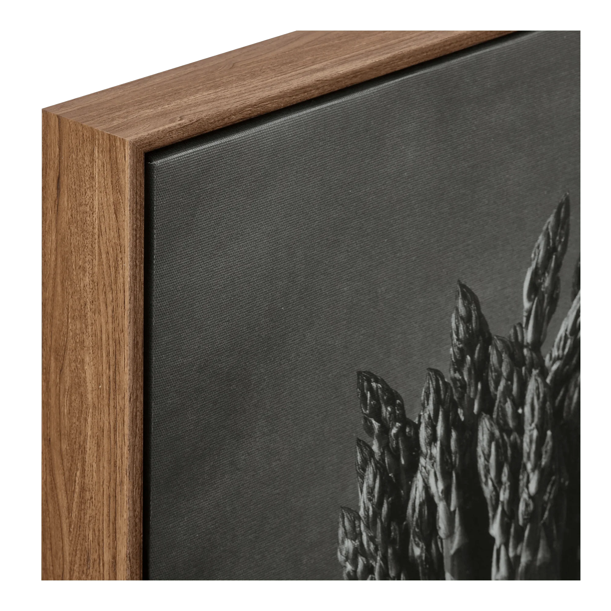 Asparagus Printed Framed Canvas - Image 3