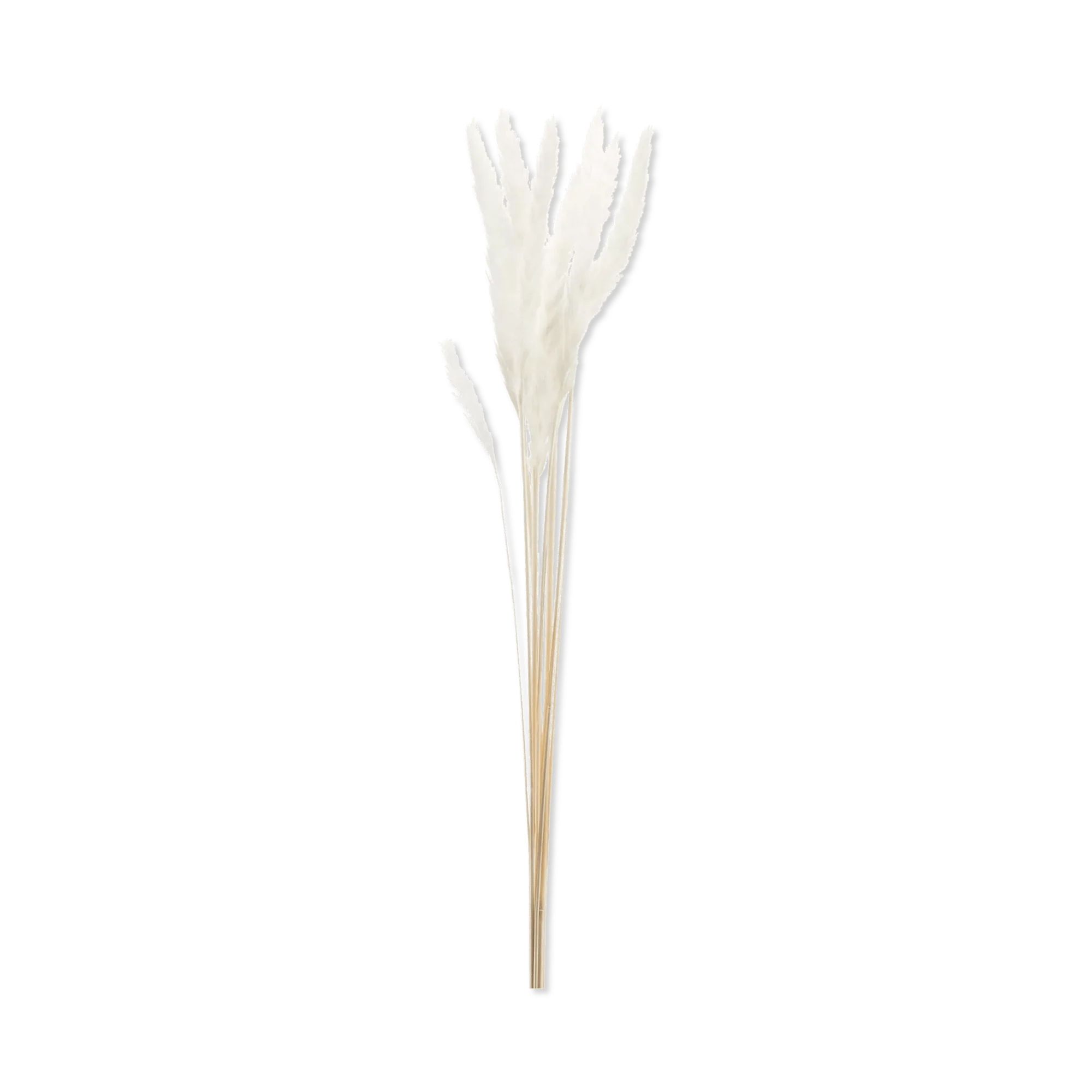 Bundle of Wheat