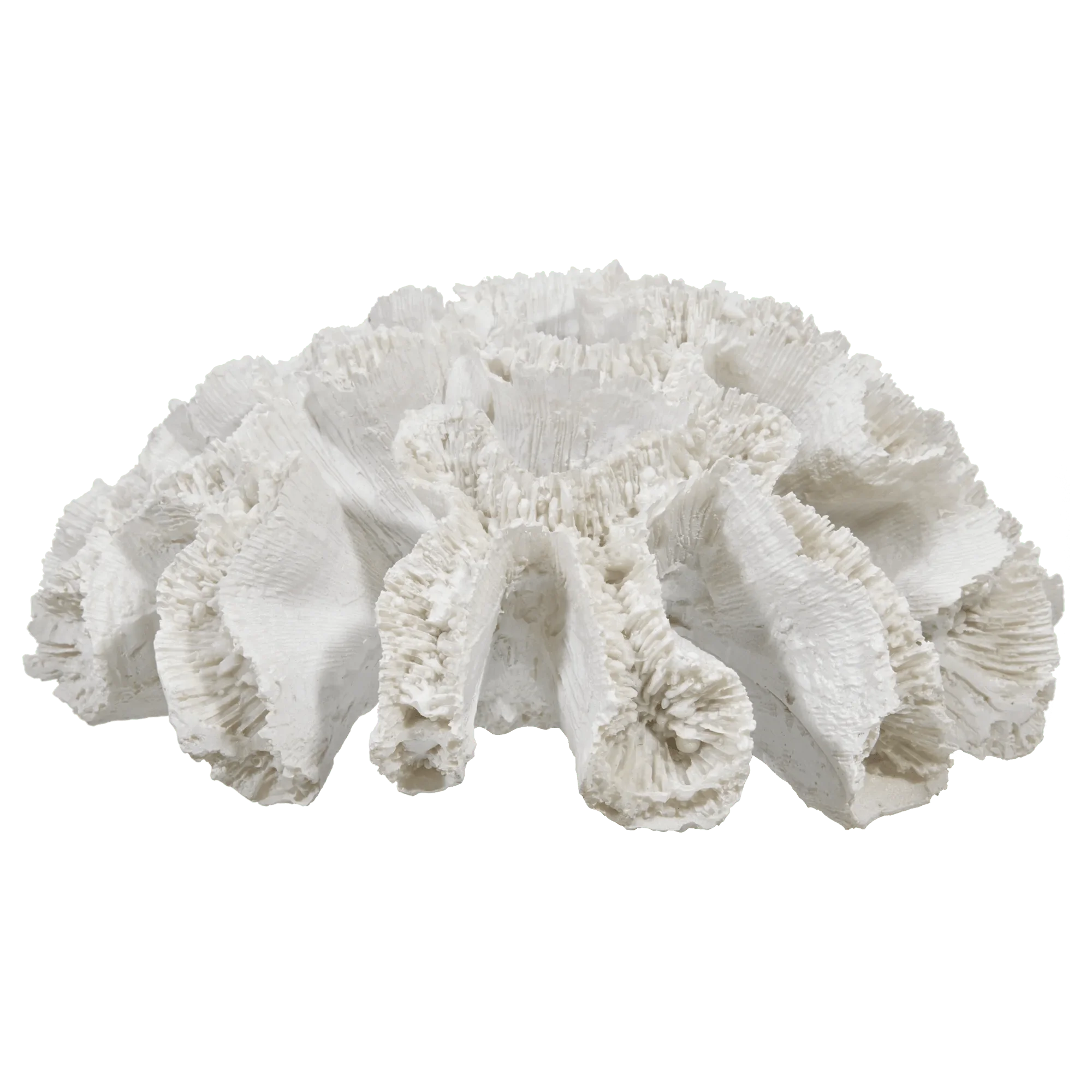 Decorative Coral