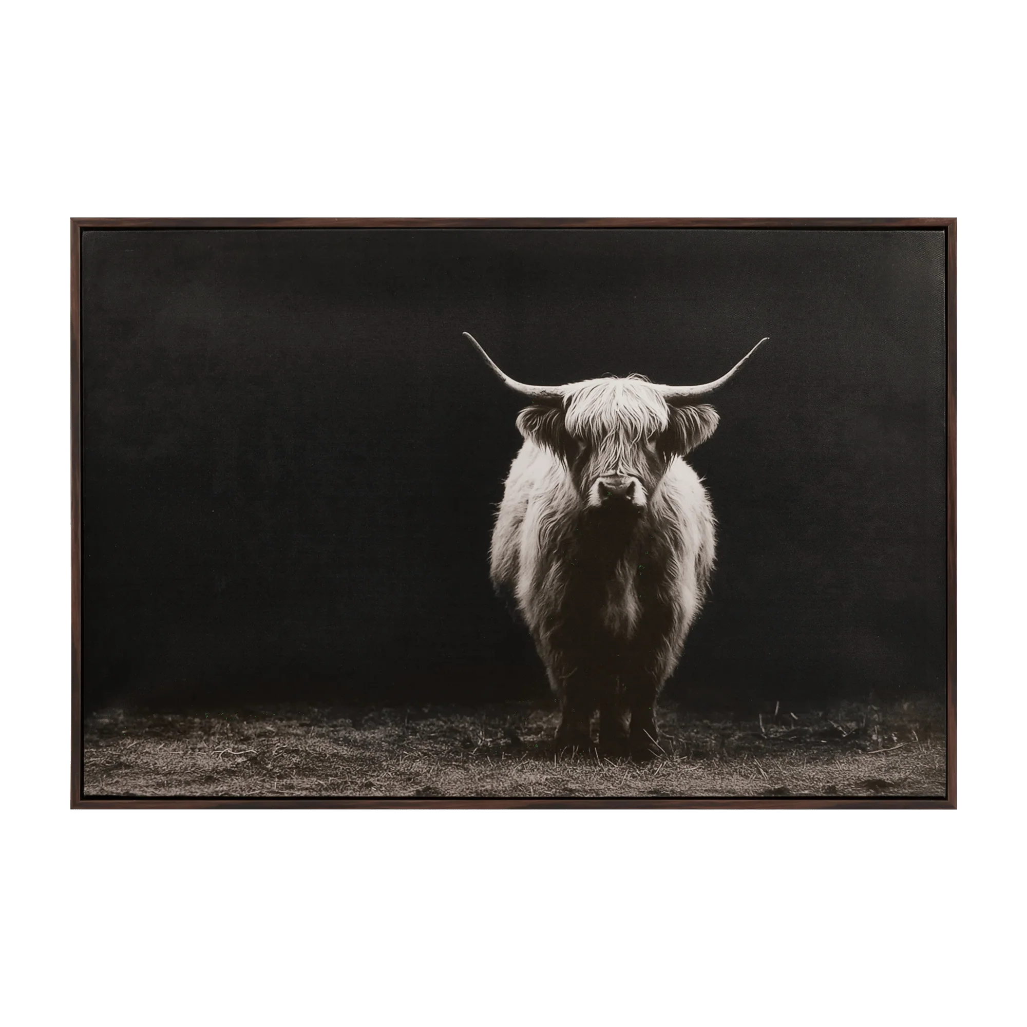 Highland Cattle Framed Printed Canvas