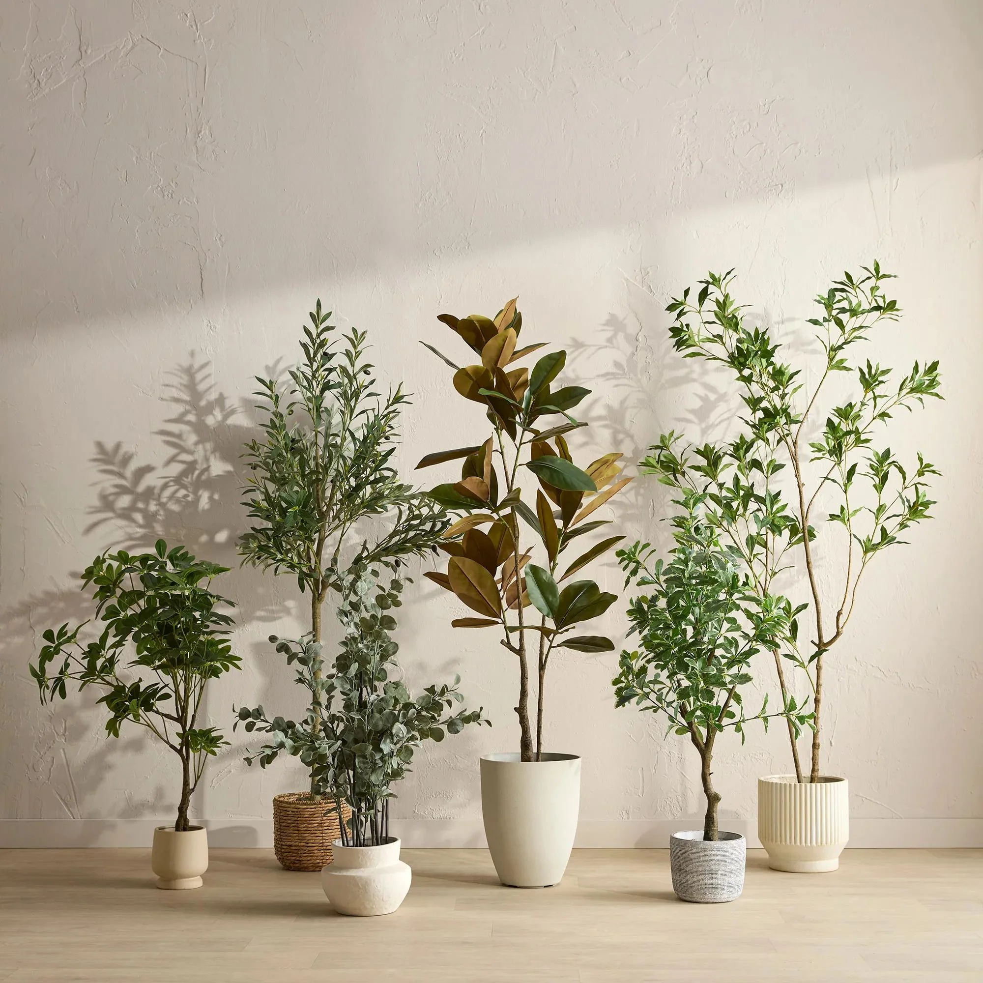 Large Artificial Aralia Tree - Image 3