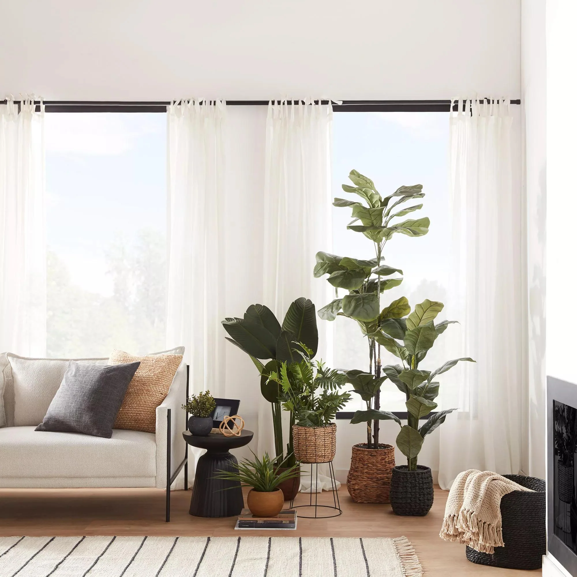 Large Fiddle-Leaf Fig Potted Floor Plant - Image 4