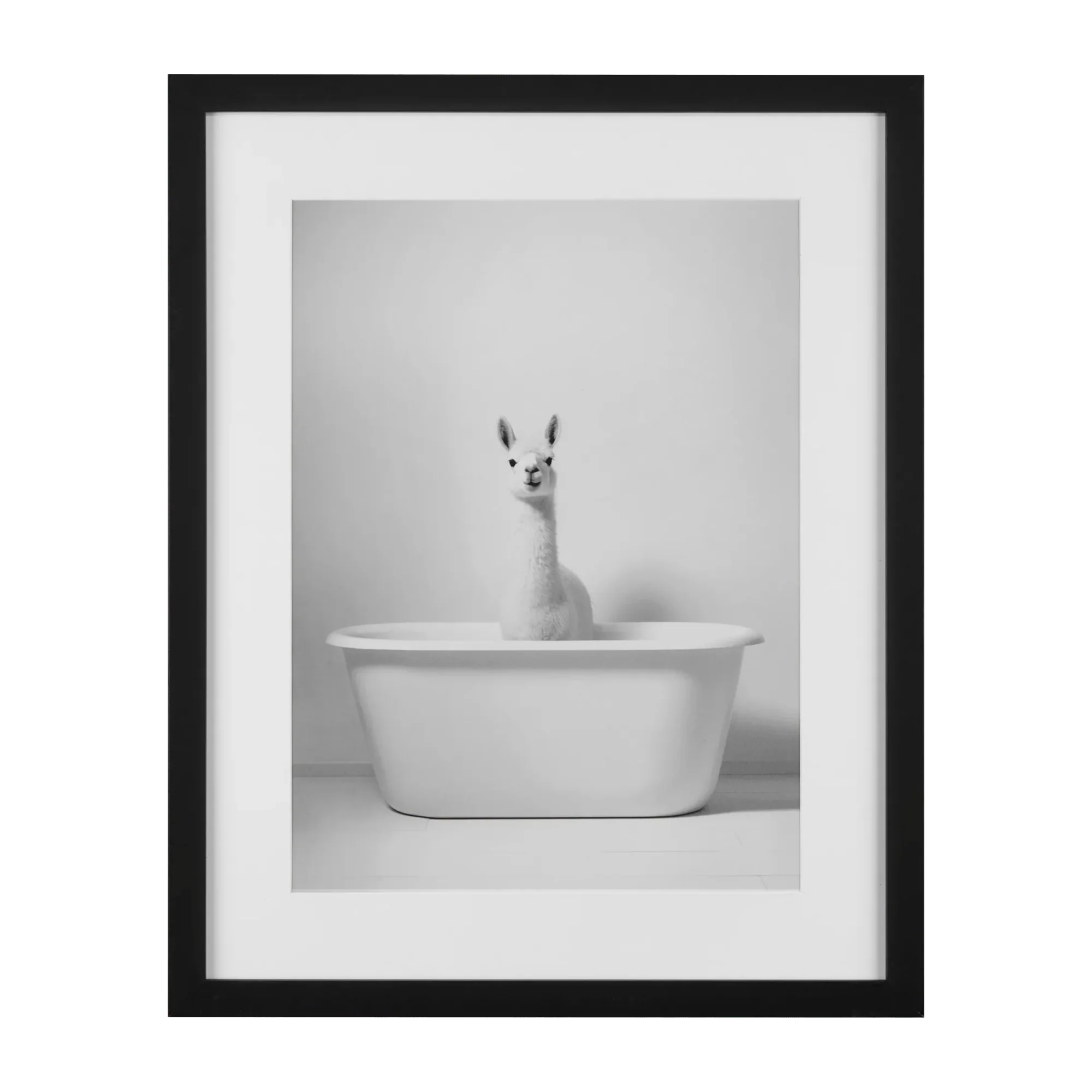 LLama in Bathtub Printed Framed Canvas