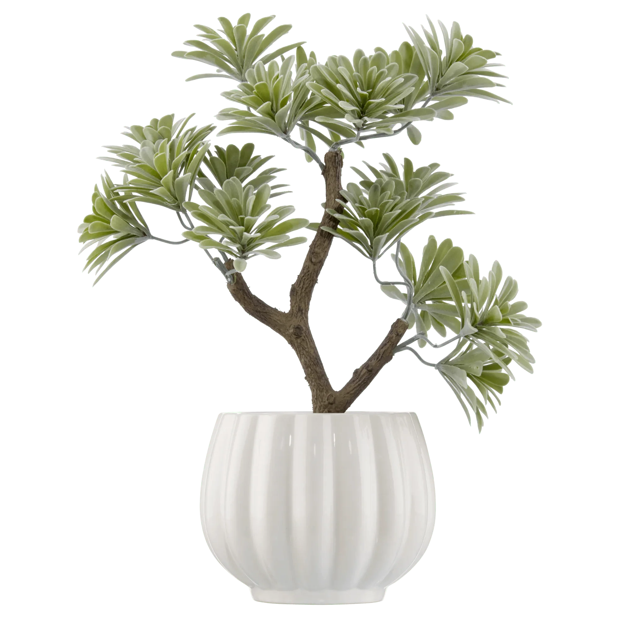 Lotus in Ceramic Pot