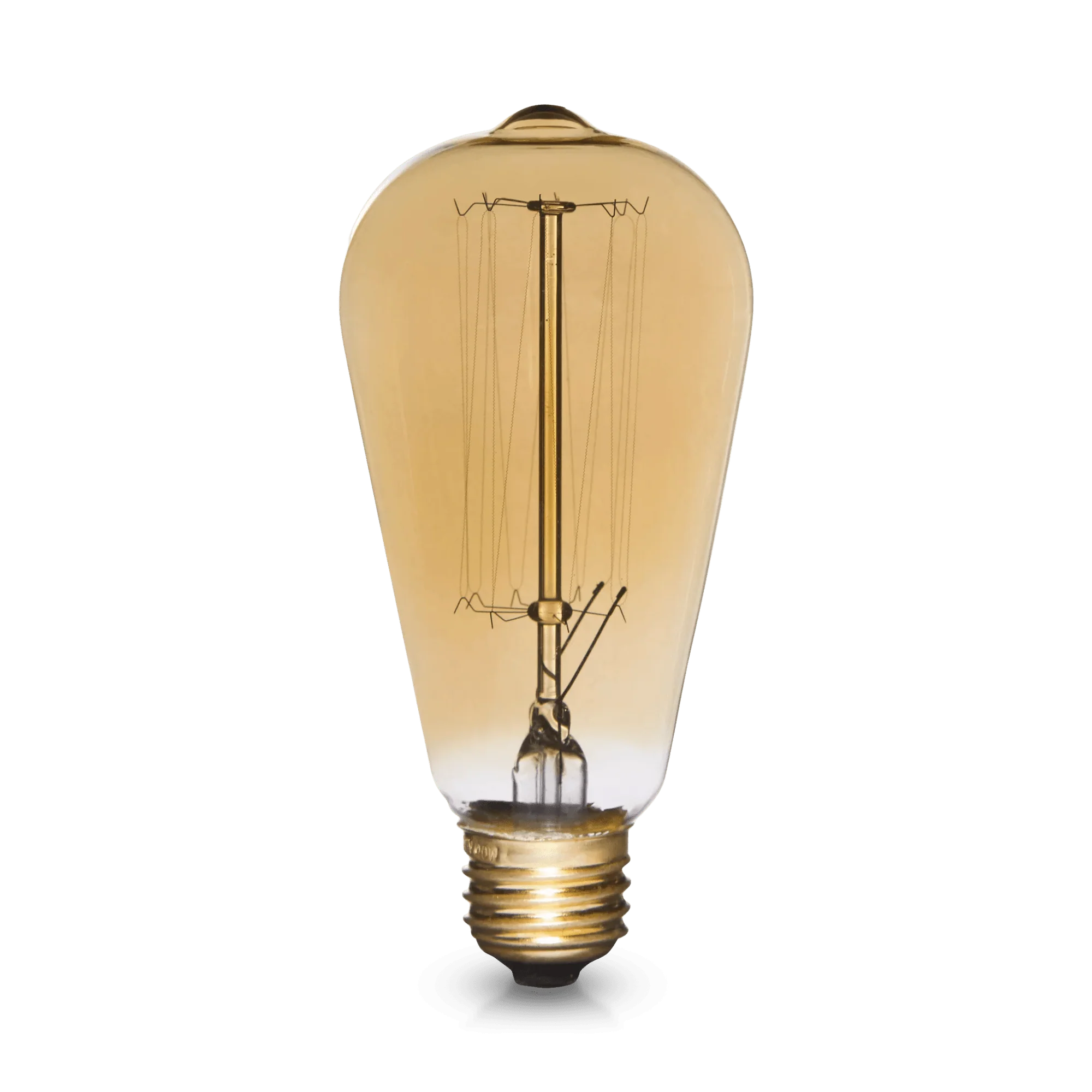 Vintage Edison Light Bulb