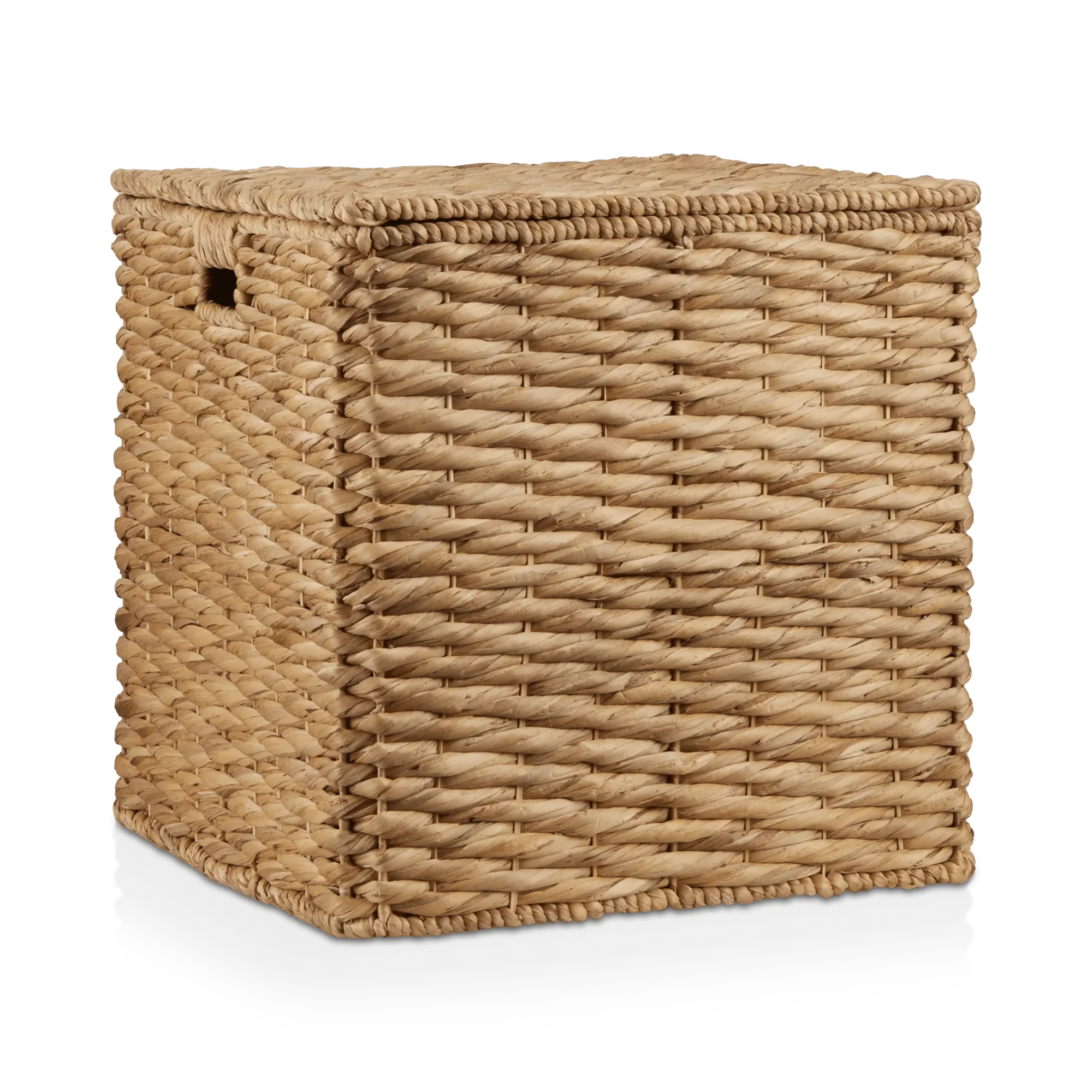 Water Hyacinth Storage Trunk