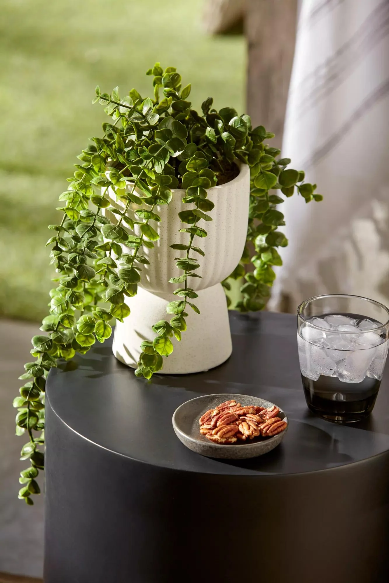 Waterfall Eucalyptus in White Hourglass Pot - Image 2